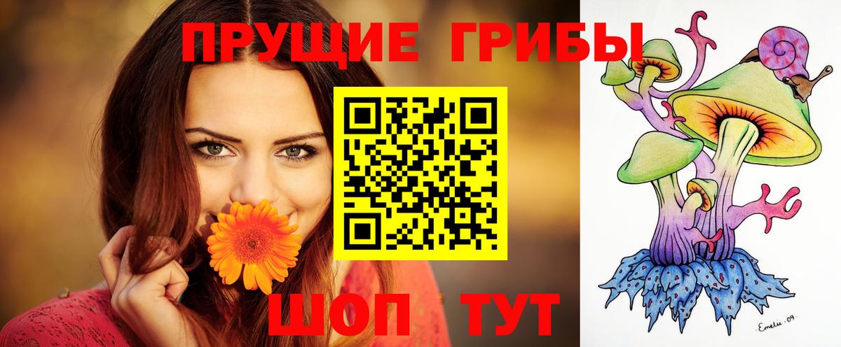 Омск  Псилоцибиновые грибы GOLDEN TEACHER  Вход с VPN 